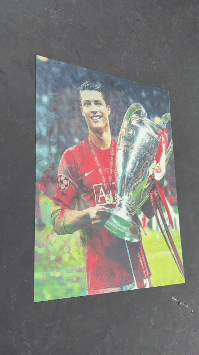 Lenticular 3D Wall Print