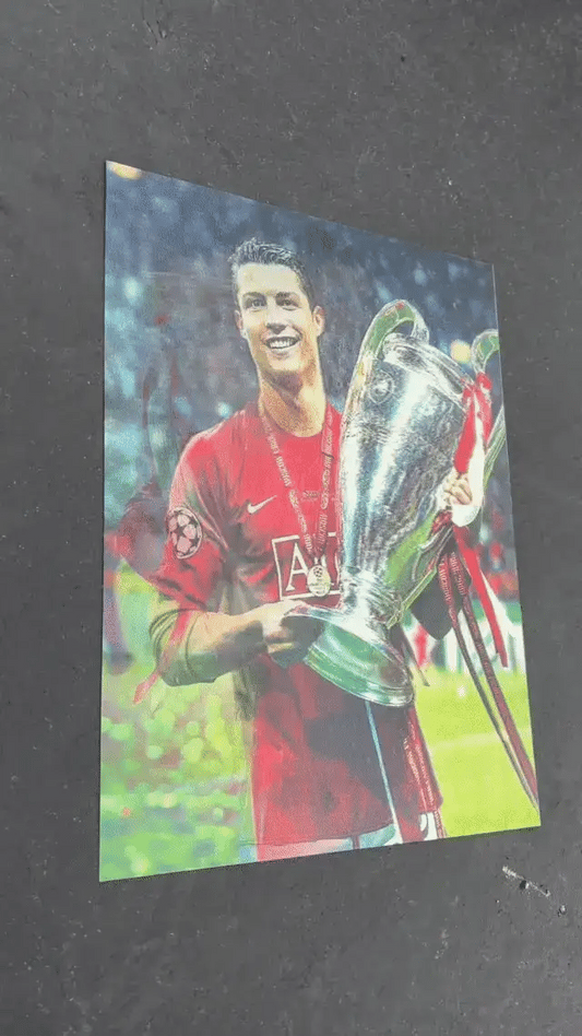 Lenticular 3D Wall Print